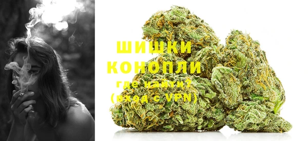 трава Шарыпово