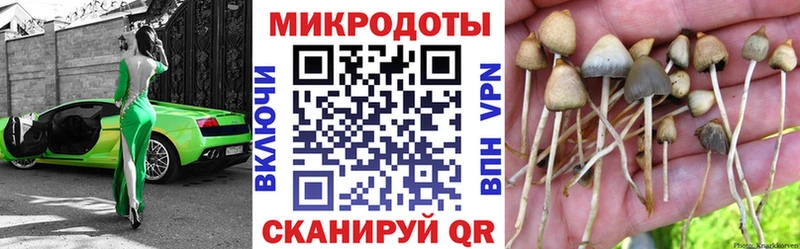 Галлюциногенные грибы прущие грибы Приморск